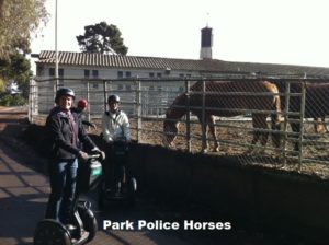 Golden Gate Park Police Horse - San Francisco Segway Rental