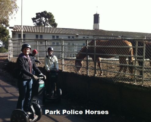 Golden Gate Park Police Horse - San Francisco Segway Rental